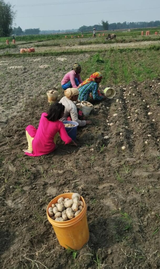 WhatsApp Image 2026 03 10 at 13.00.23 1