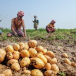 WhatsApp Image 2026 03 10 at 13.00.23