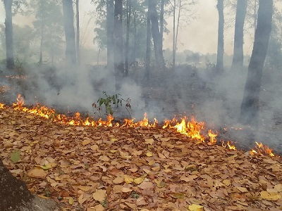 WhatsApp Image 2026 03 11 at 14.29.44