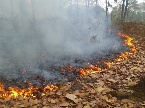 WhatsApp Image 2026 03 11 at 14.29.49