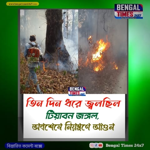 WhatsApp Image 2026 03 11 at 15.15.55