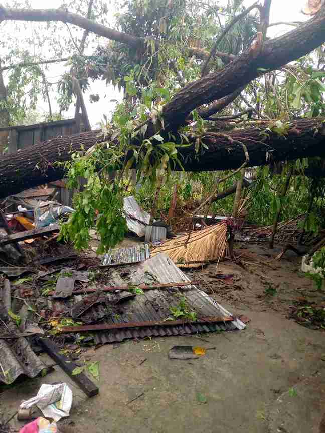 WhatsApp Image 2026 03 13 at 11.54.46 1 11zon