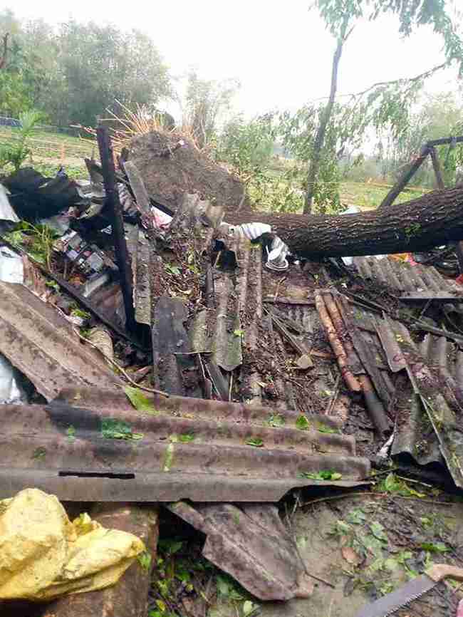 WhatsApp Image 2026 03 13 at 11.54.46 11zon