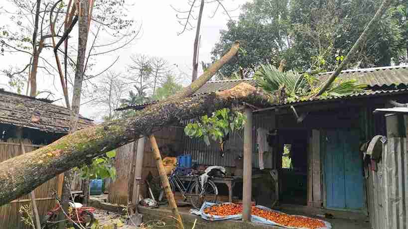 WhatsApp Image 2026 03 13 at 12.34.58 11zon