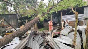 WhatsApp Image 2026 03 13 at 12.36.39 11zon