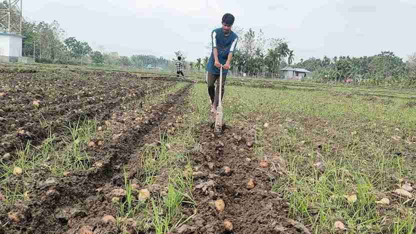 WhatsApp Image 2026 03 17 at 12.26.43 1 11zon