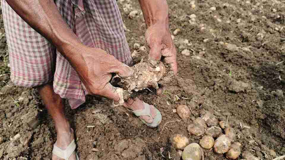 WhatsApp Image 2026 03 17 at 12.26.43 11zon