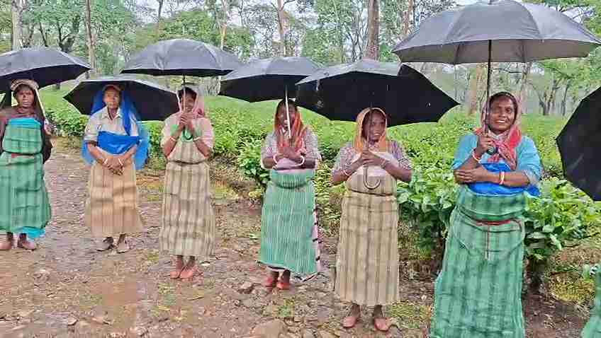 বৃষ্টিকে উপেক্ষা করেই ডুয়ার্সের চা বাগানে প্রচারে সঞ্জয় কুজুর, শ্রমিকদের সঙ্গে সরাসরি কথা 8 WhatsApp Image 2026 03 29 at 13.38.21 11zon